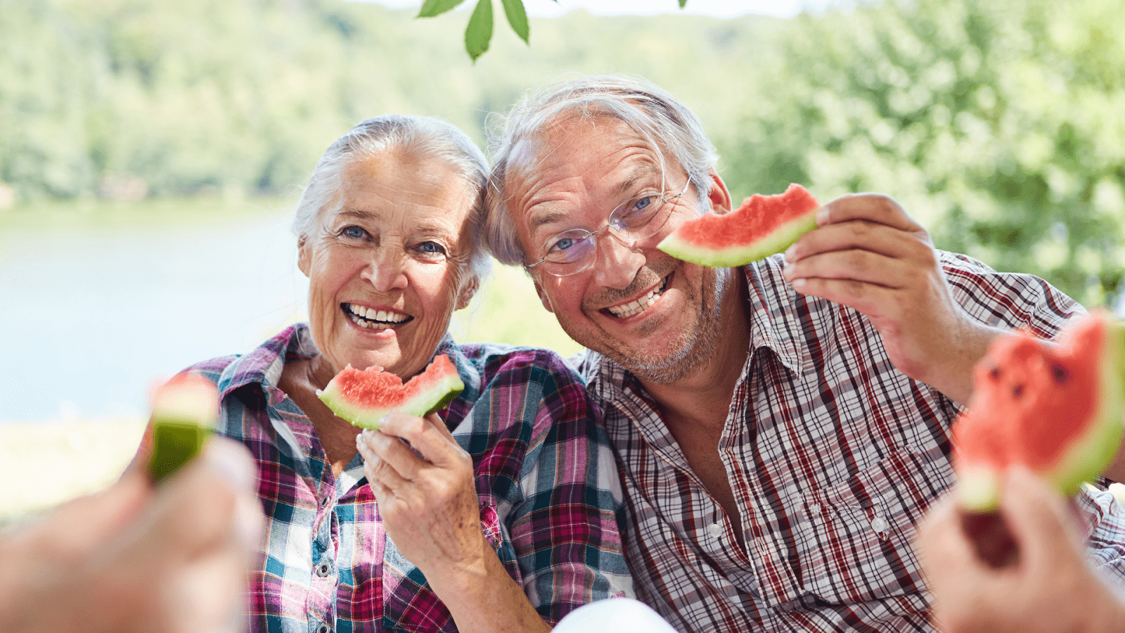 Best Liquid Multivitamin For Seniors
