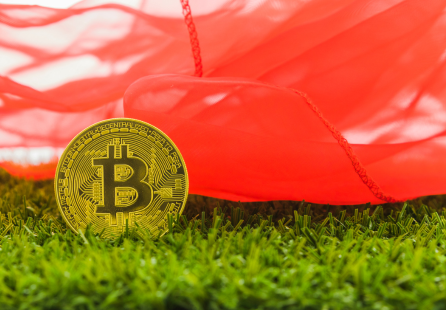 Tropical Oasis is now accepting Bitcoin!