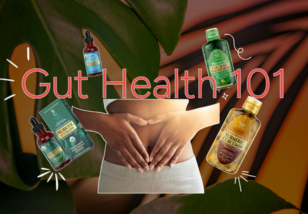 Gut Health 101: A Simple, Family-Friendly Guide to Feeling Your Best