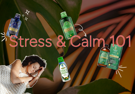 Stress + Calm 101: A Simple Routine for Feeling More Balanced