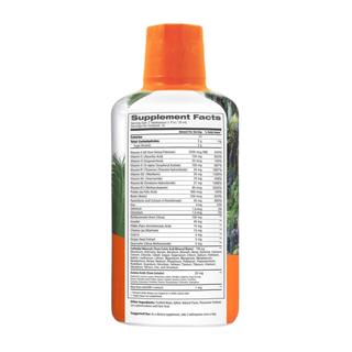 Tropical Oasis Mega Plus