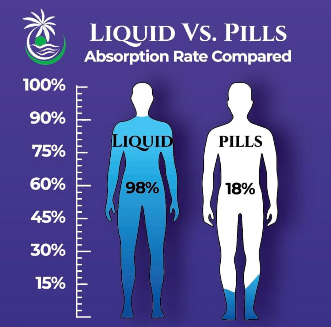 Organic Liquid Vitamin Drops with Elderberry for Toddlers & Kids