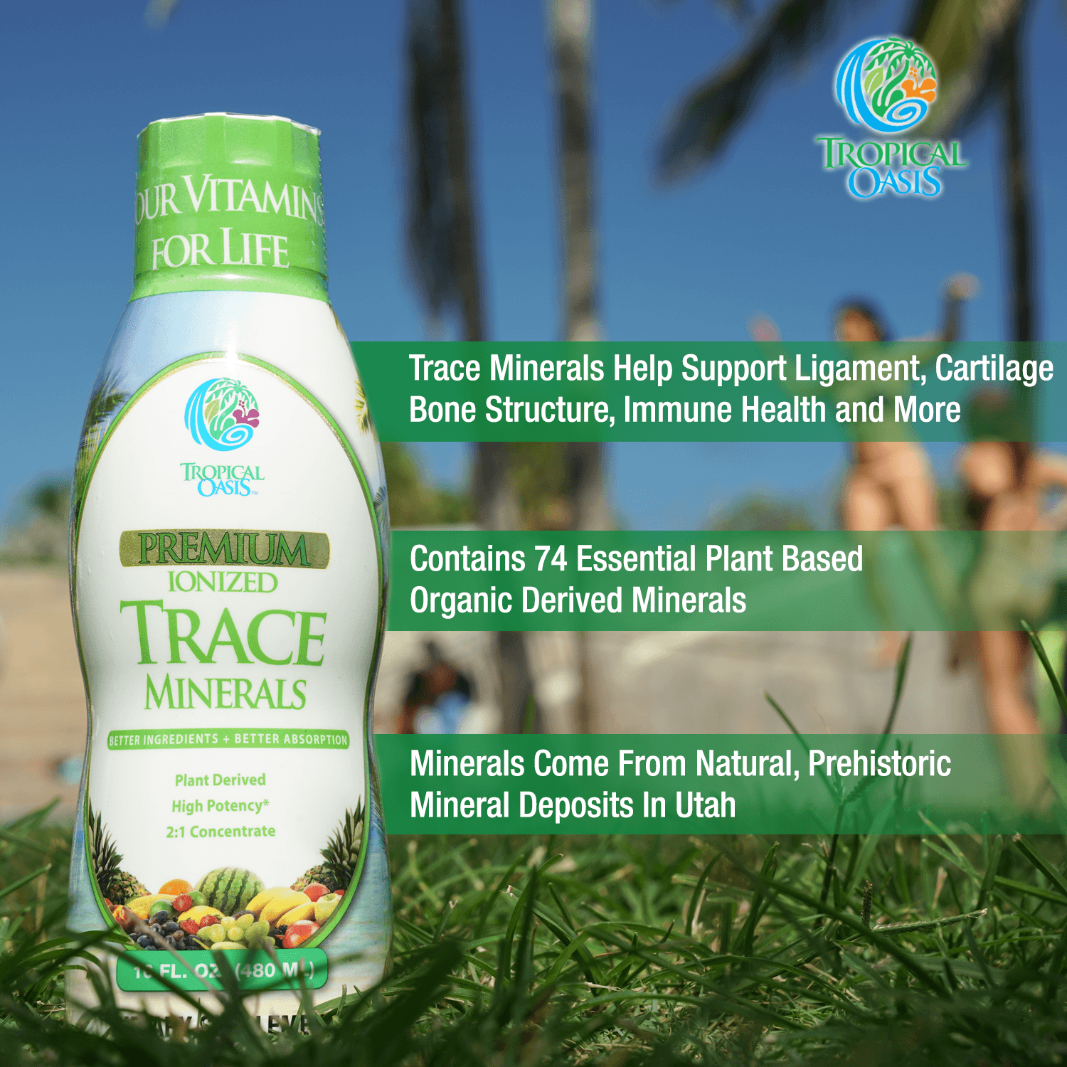 Premium Plant Based Trace Minerals - 74 Natural Organic Ionized Trace Minerals - tropical-oasis-store